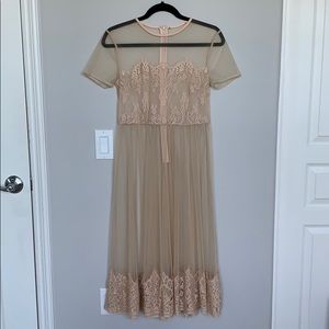 Sheer lace dress